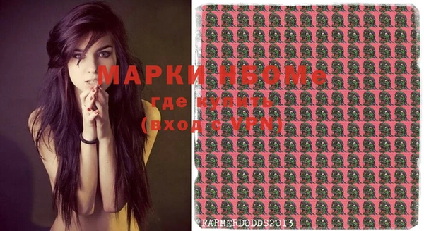 молекула духа Няндома