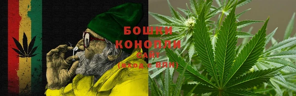 молекула духа Няндома